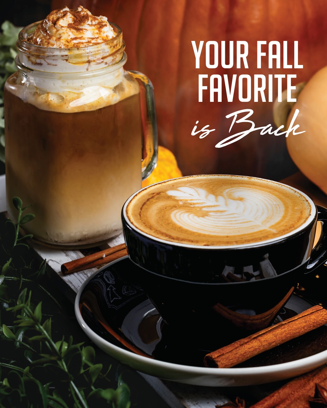 Fall is back at Crema 🍂